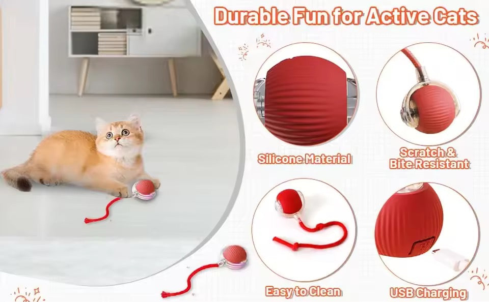 Magic Rolling Cat Ball – Keep Your Cat Active & Happy