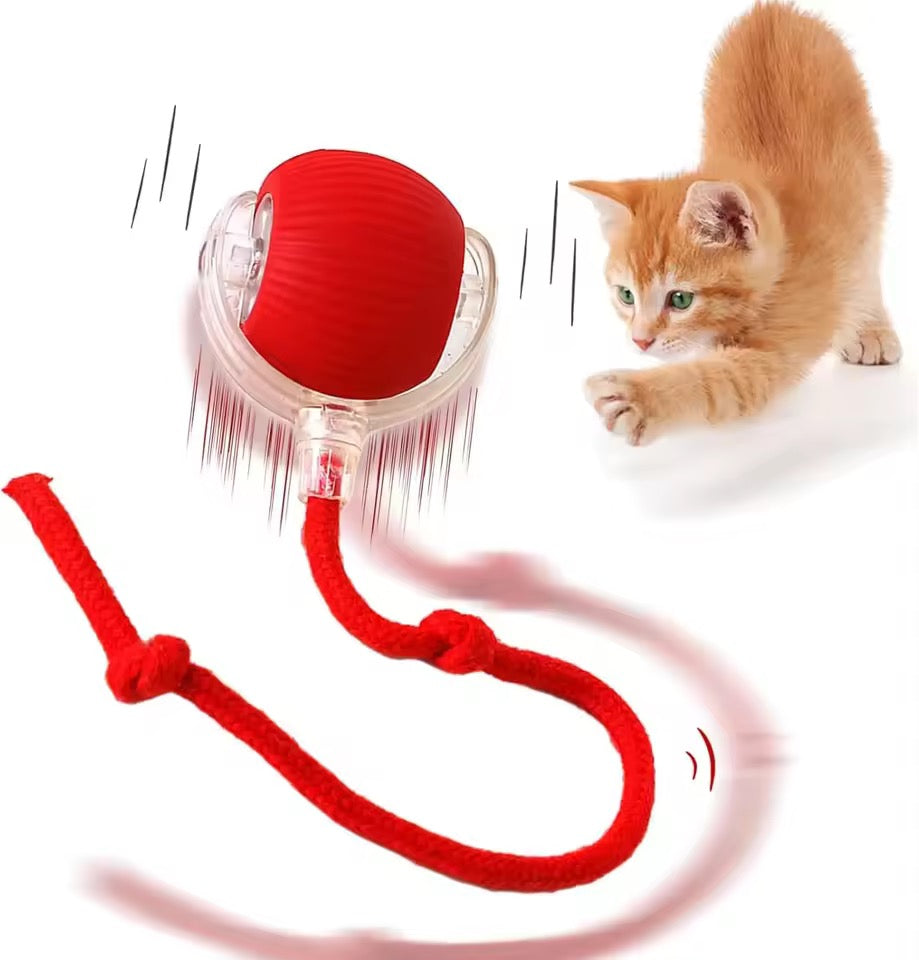 Magic Rolling Cat Ball – Keep Your Cat Active & Happy