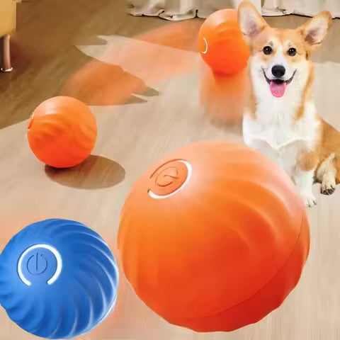 Why dogs and owners love it:
