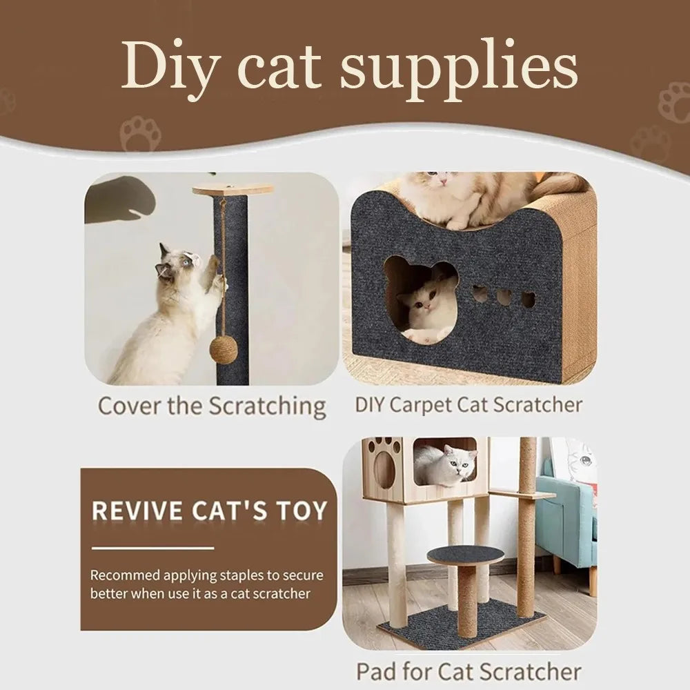 Keep Your Cat Happy 🐱